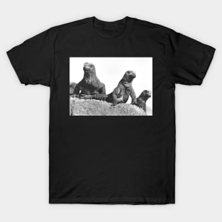 Marine Iguanas Chilling T-Shirt